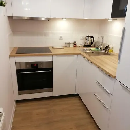 Two Towers Old Town Apartments-city Center-by The River-observation Terrance On The Roof-free Parking * ורוצלב