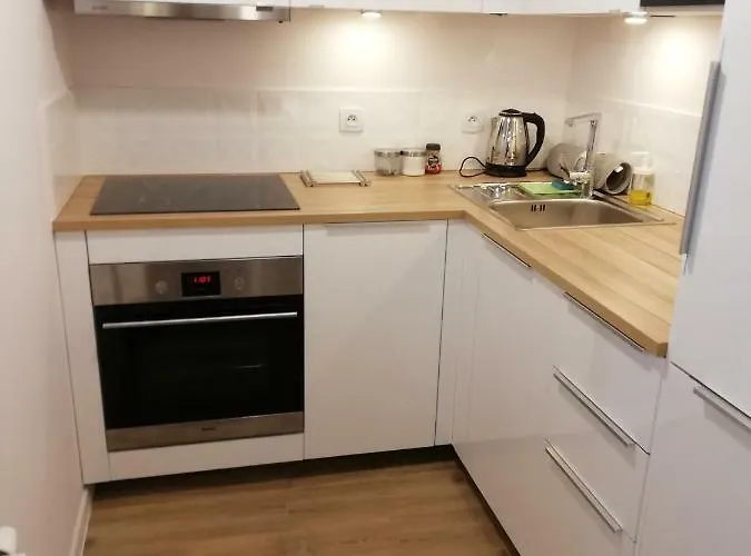 Two Towers Old Town Apartments-city Center-by The River-observation Terrance On The Roof-free Parking * Wrocław